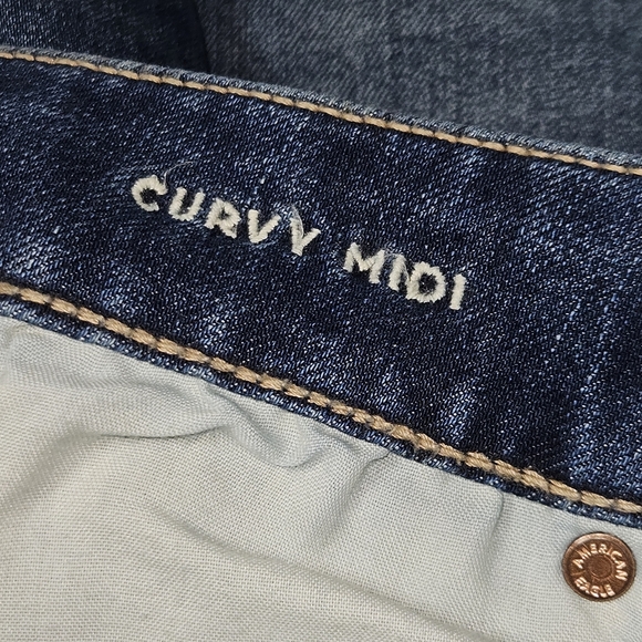 NWT American Eagle Outfitters Blue Jean Shorts Curvy Midi Size 8 - Picture 4 of 14